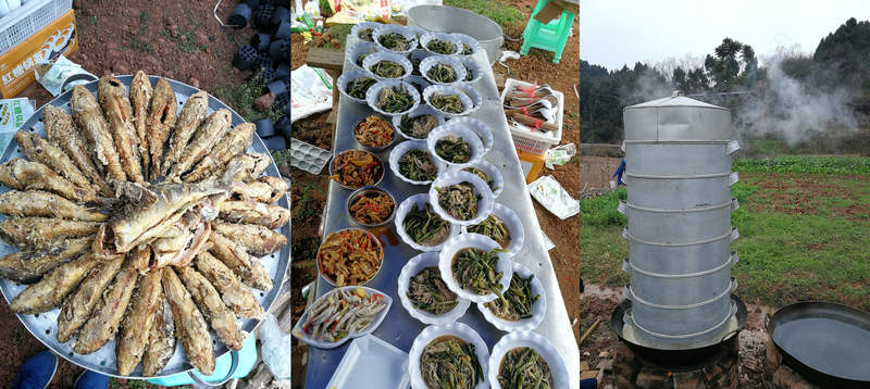 万象城AWC(中国区)体育有限公司