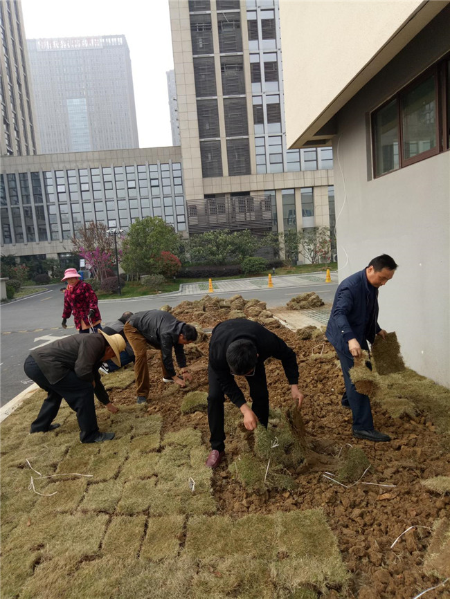 pc电子麻将胡了-(中国游)有限公司