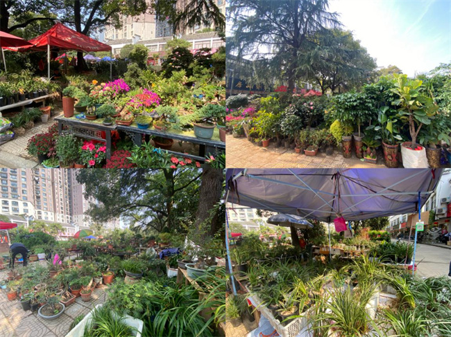 pc电子麻将胡了-(中国游)有限公司