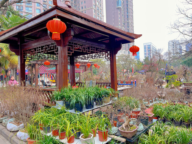 pc电子麻将胡了-(中国游)有限公司