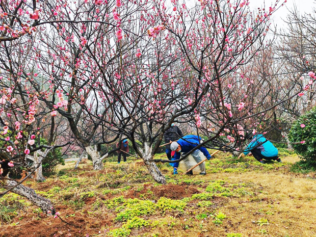 pc电子麻将胡了-(中国游)有限公司