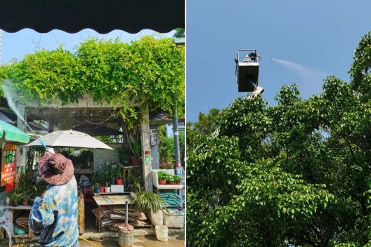 pc电子麻将胡了-(中国游)有限公司