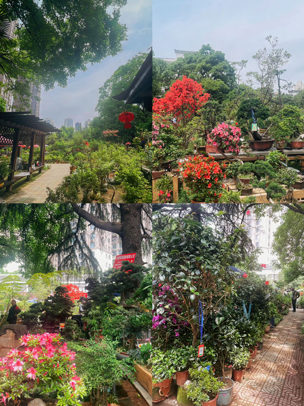 pc电子麻将胡了-(中国游)有限公司